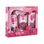 Malý dárkový set - sprchový gel 100ml, mýdlo 50 gr. a denní krém 30 ml