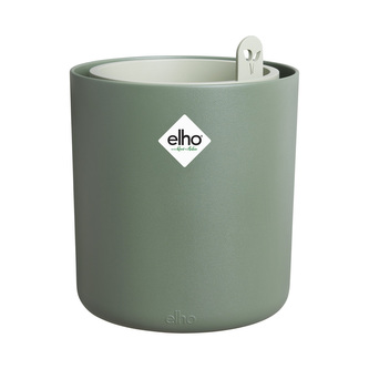 Bouncy Basil - leaf green