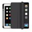 TECH-PROTECT SC PEN IPAD 10.2 2019 / 2020 / 2021 ČERNÉ