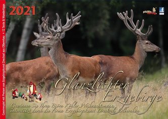 Glanzlichter Erzgebirge 2021