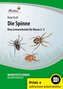 Die Spinne (Set)