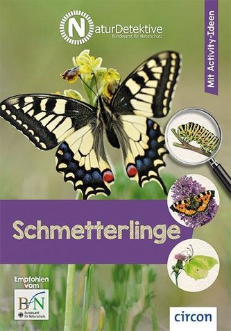 Schmetterlinge