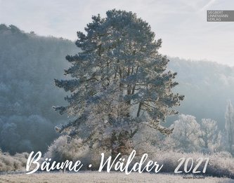 Bäume-Wälder 2021