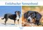 Entlebucher Sennenhund - treue Freunde (Wandkalender 2021 DIN A4 quer)