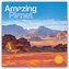 Amazing Planet - Fantastischer Planet 2021