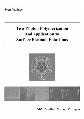 Two-Photon Polymerization and application to Surface Plasmon Polaritons