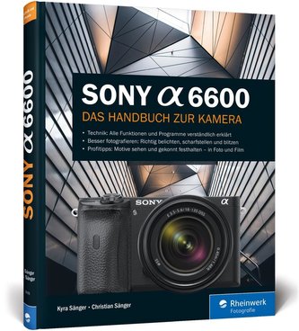 Sony a6600