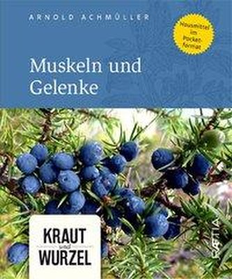Muskeln und Gelenke