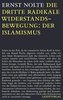 Die dritte radikale Widerstandsbewegung: der Islamismus