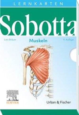Sobotta Lernkarten Muskeln