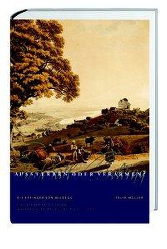 Die Effinger von Wildegg. Aussterben oder verarmen?