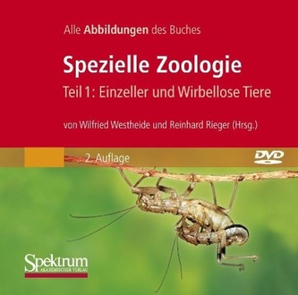 Spezielle Zoologie 1