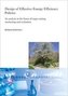 Design of Effective Energy Efficiency Policies