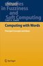 Computing with Words