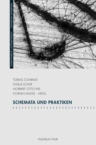Schemata und Praktiken