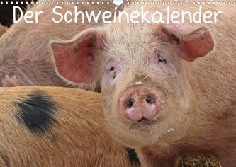 Der Schweinekalender (Wandkalender 2021 DIN A3 quer)