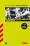 Lorraine Hansberry: A Raisin in the Sun