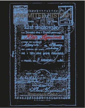 UNLIMITED HISTORY - SIGMUND KLEIN