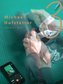 Michael Hofstetter - VOL3 / 2011-2019