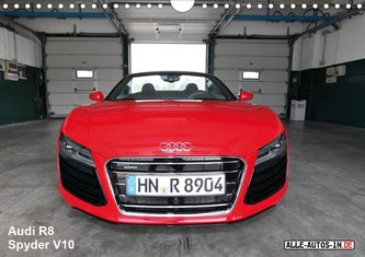 Vollblut-Sportler (Wandkalender 2021 DIN A4 quer)