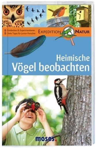 Heimische Vögel beobachten