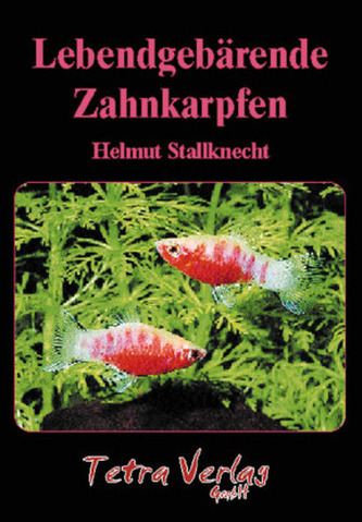 Lebendgebärende Zahnkarpfen Lebendgebärende Zahnkarpfen