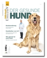 Der gesunde Hund