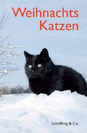 WeihnachtsKatzen