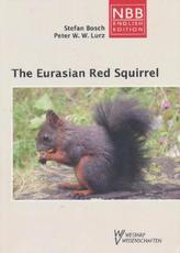 The Eurasian Red Squirrel