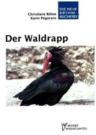 Der Waldrapp
