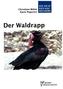 Der Waldrapp