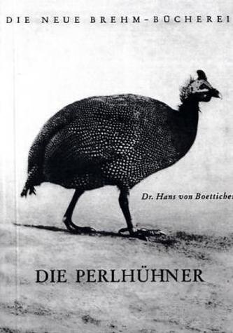 Die Perlhühner