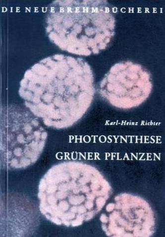 Photosynthese grüner Pflanzen