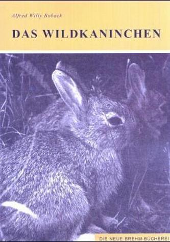 Das Wildkaninchen