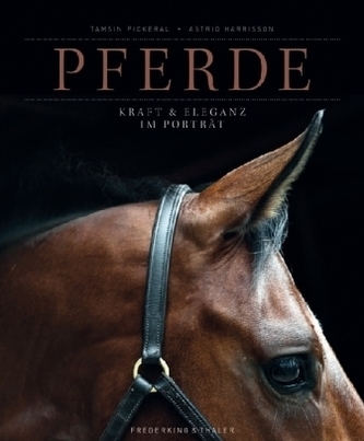 Pferde