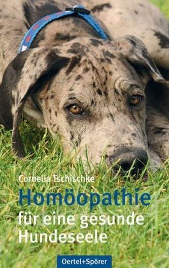 Homöopathie