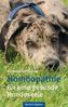 Homöopathie