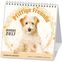 Pfiffige Freunde - Hunde 2017