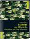 Salmler aus Südamerika