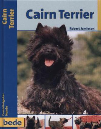Cairn Terrier