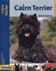 Cairn Terrier