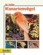 Kanarienvögel