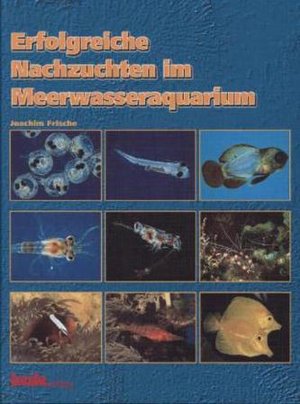 Erfolgreiche Nachzuchten im Meerwasseraquarium