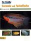 Guramis und Fadenfische