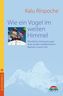 Wie ein Vogel im weiten Himmel