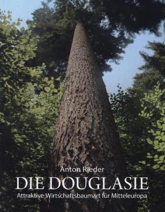 Die Douglasie