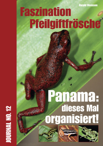 Panama: Dieses Mal organisiert