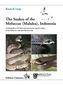 The Snakes of the Moluccas (Maluku), Indonesia
