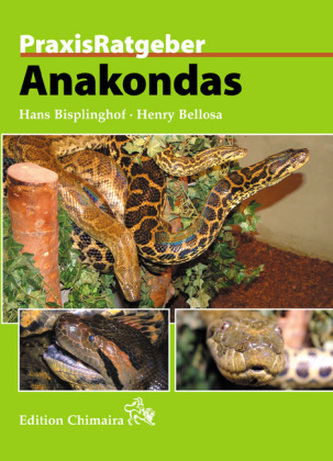 Anakondas