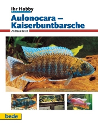 Aulonocara, Kaiserbuntbarsche